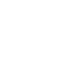 Cyber Essentials Logo